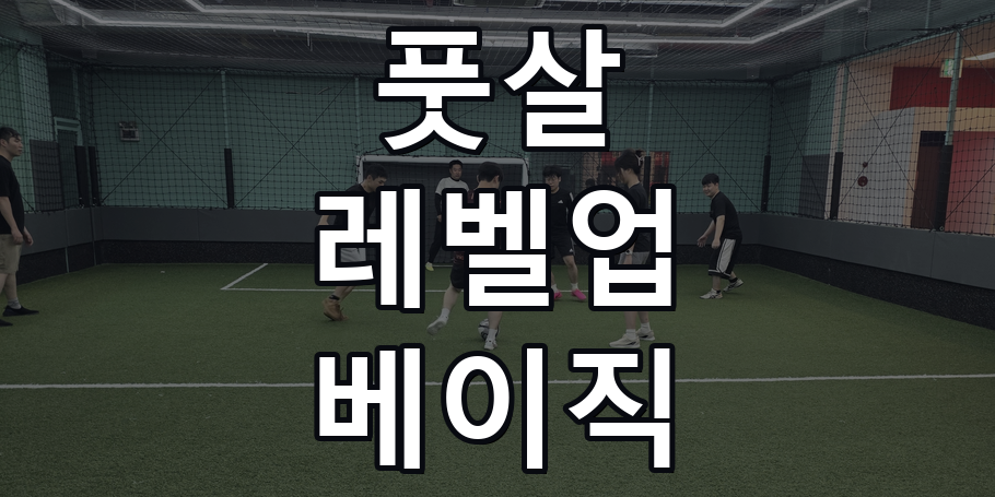 2030 풋살 분당 레벨업 베이직